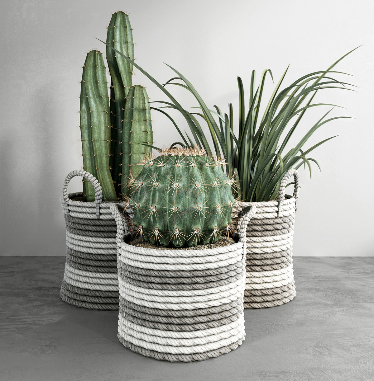 3dmodel 3dmax cactus plants free corona coronarenderer Pots 3D CG
