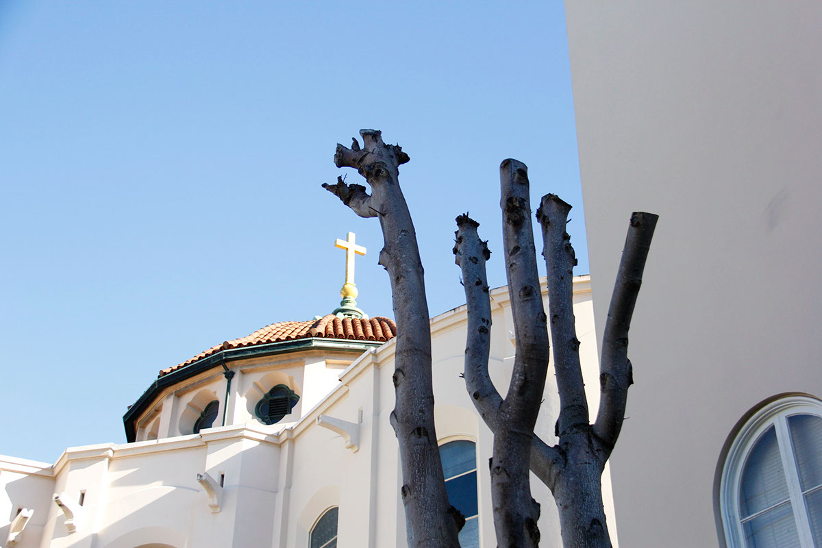 #photographs #church  san francisco