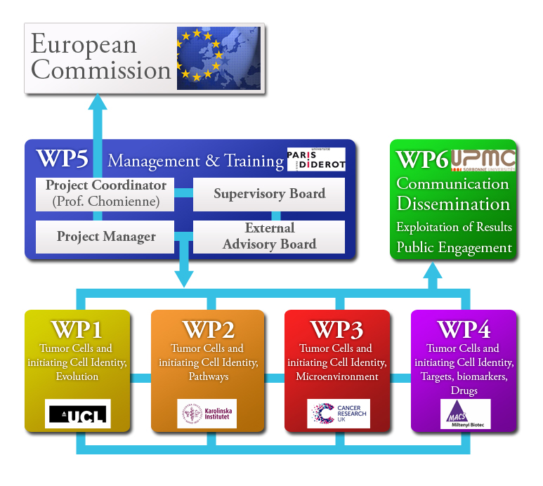 h2020 FP7 EU Project Project Management PERT diagram research cancer