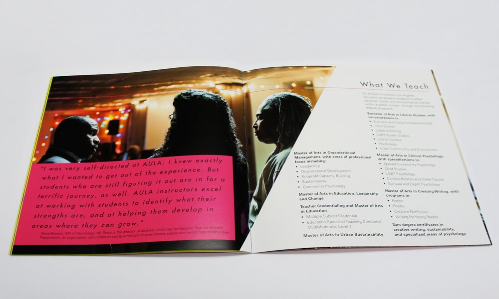 brochure look book colorful diy-cut design University bright Booklet die cut die-cut