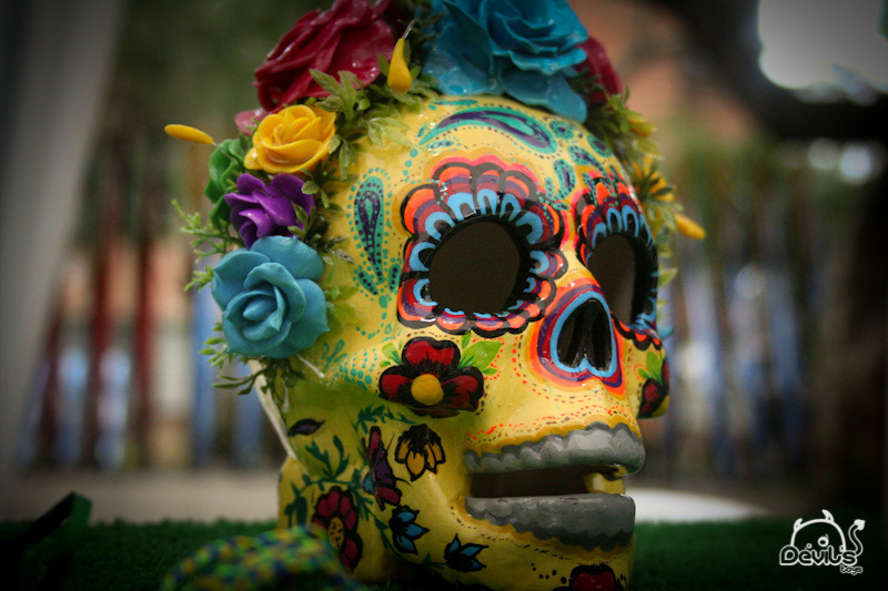 skull calaca catrina Flowers Flores colores colors pintura paint Dia De Muertos devils toys Custom art toy Illustration.