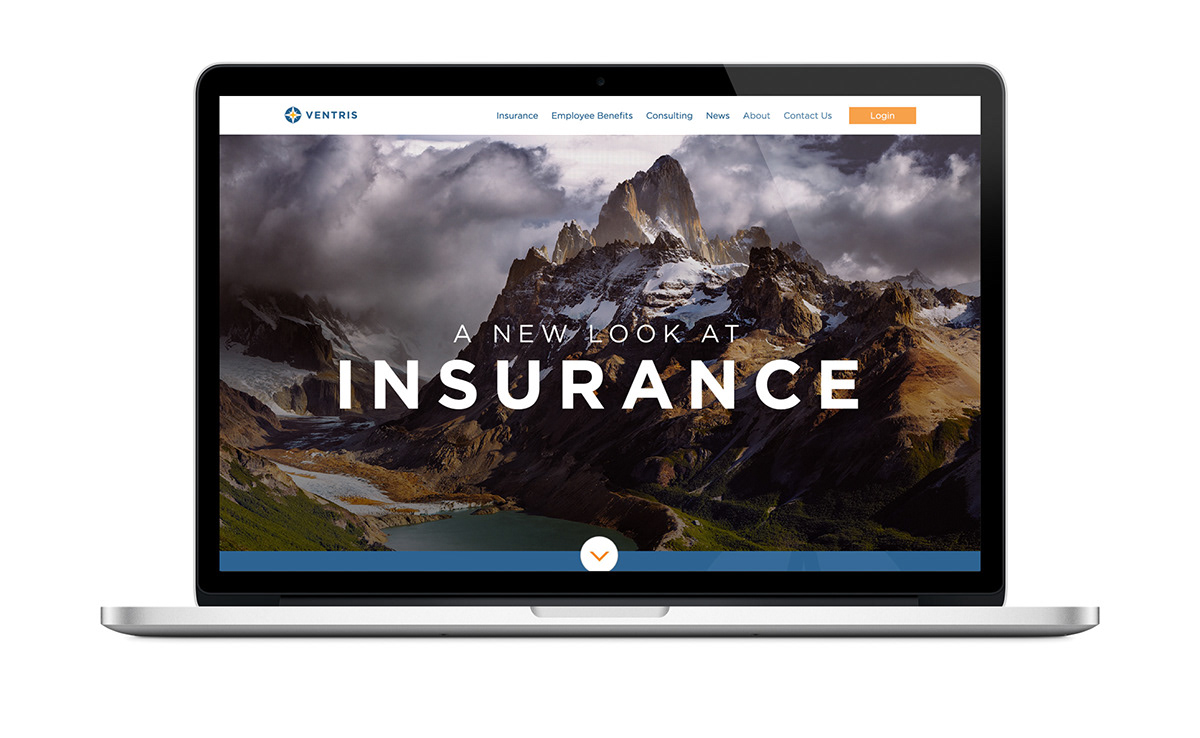 insurance Web mountain Unique business