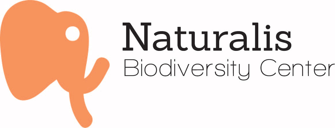 rebranding naturalis graphic design  grafisch ontwerp branding  poster logo