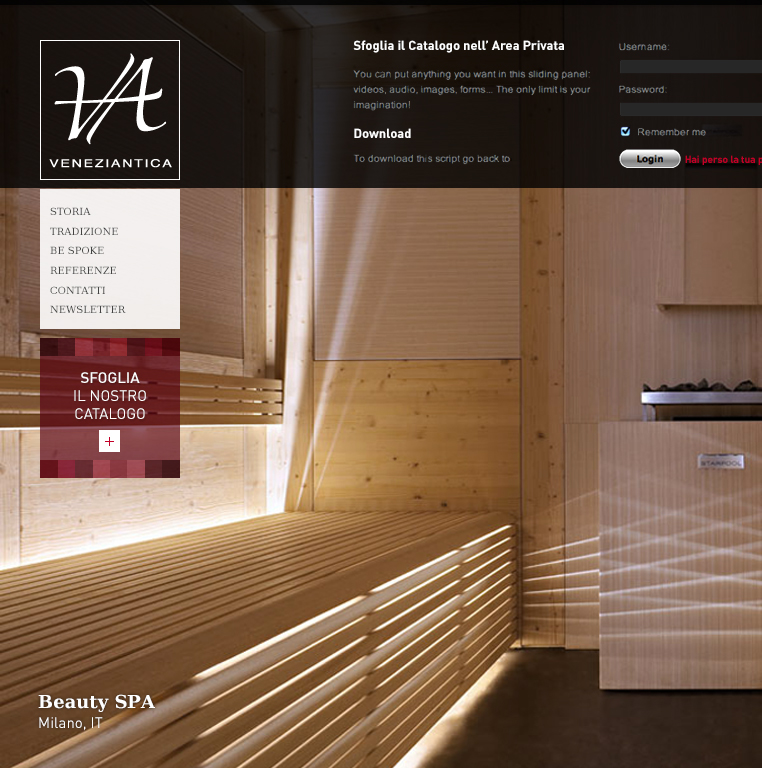 graphic Website home design