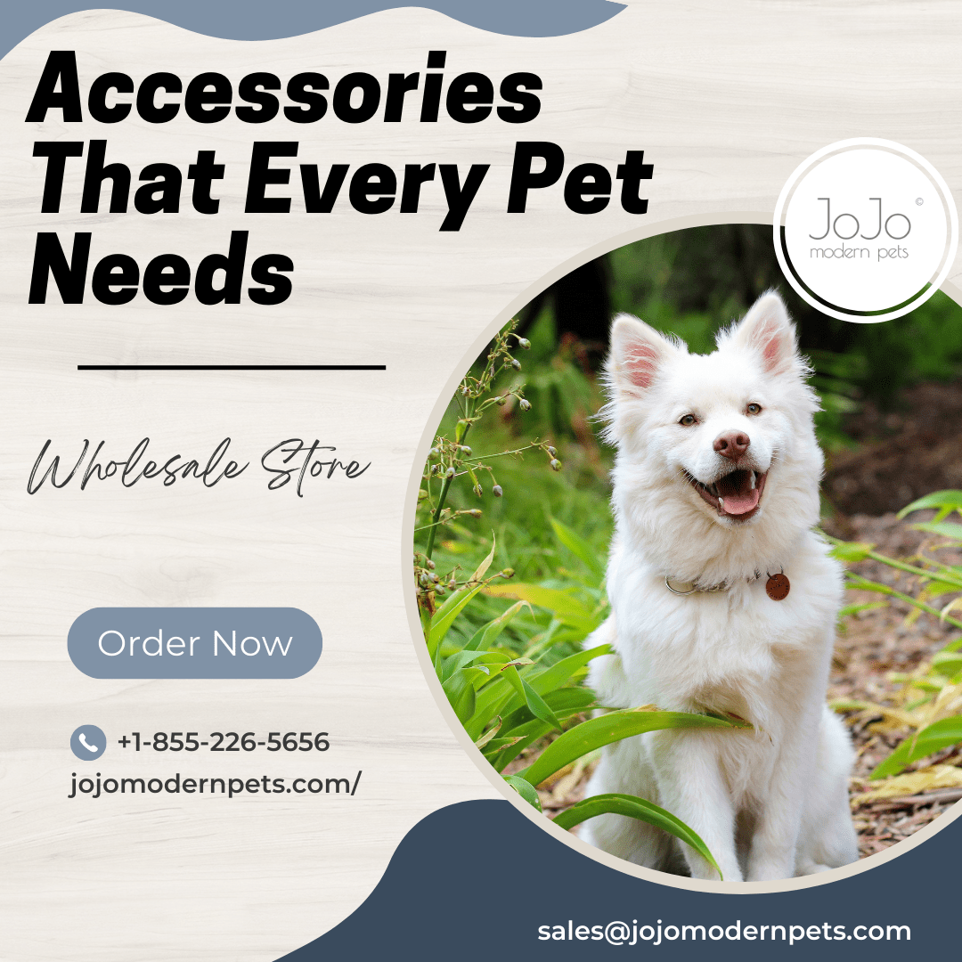 accessories Accessories Wholesale dog dog accessories Dog Accessories Wholesale wholesale