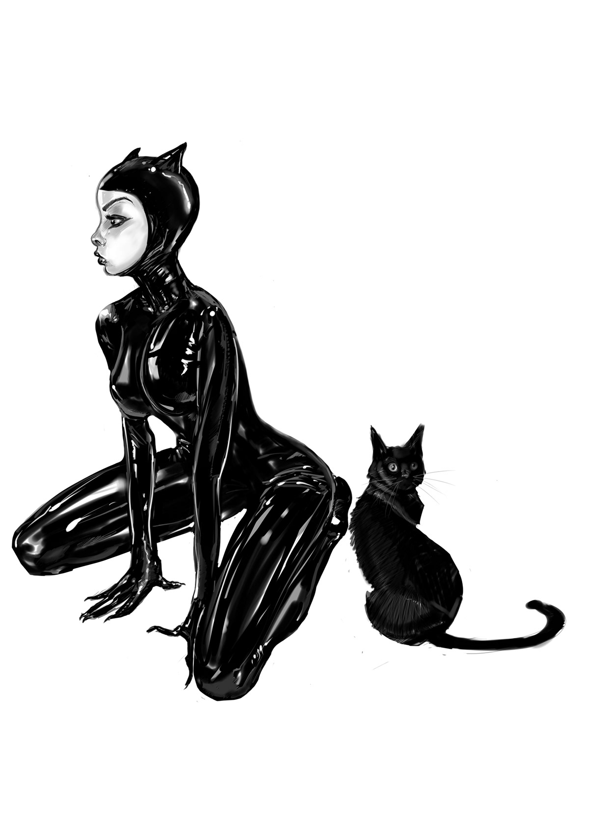 catwoman illustrated graphic sexy
