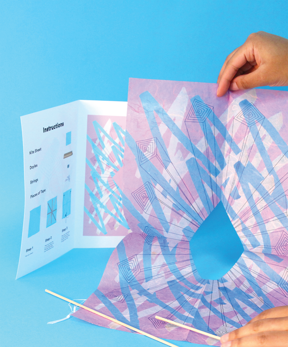 Kite kites ILLUSTRATION  design graphic design  instructions how to postcard postcards