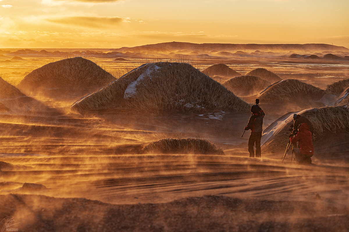 dune frank herbert sandworm desert Landscape Photography  iceland Nature beauty arrakis
