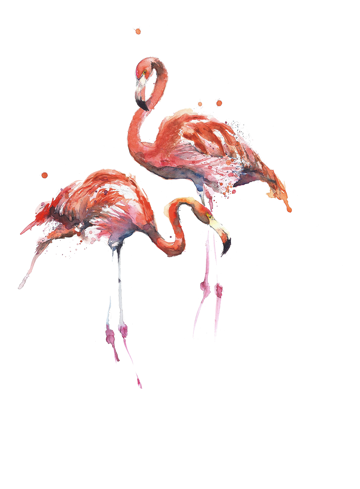 watercolor bird art bird flamingo pink