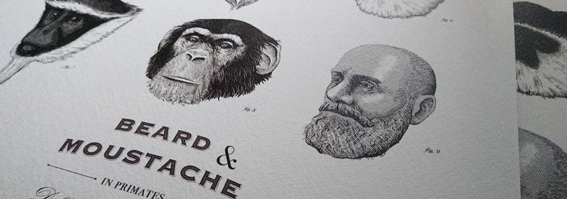 beard monkey ape moustache engrave poster vintage barber etching animal
