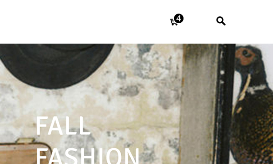 zara Zara Clothing Website Interface clothes fashion website