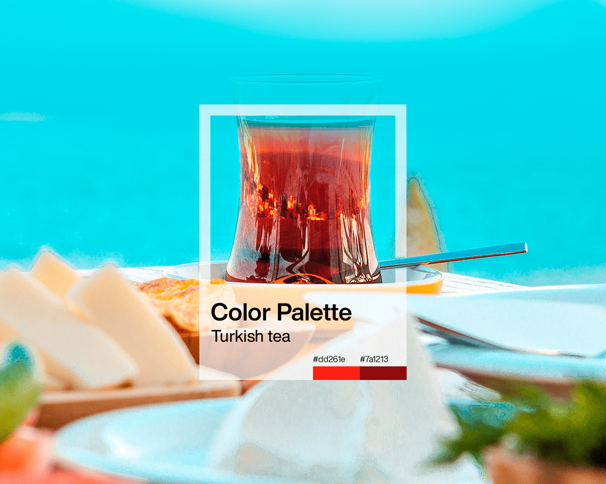 branding  color istanbul national palette pantone product RGB Turkey uzbekistan