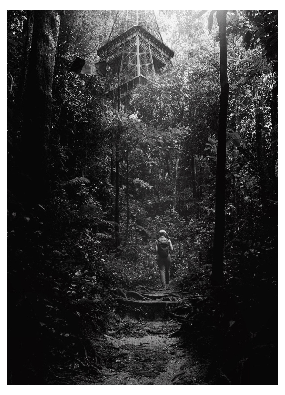 architecture Black&white collage COVID19 design jungle Nature Photography  Quarantine