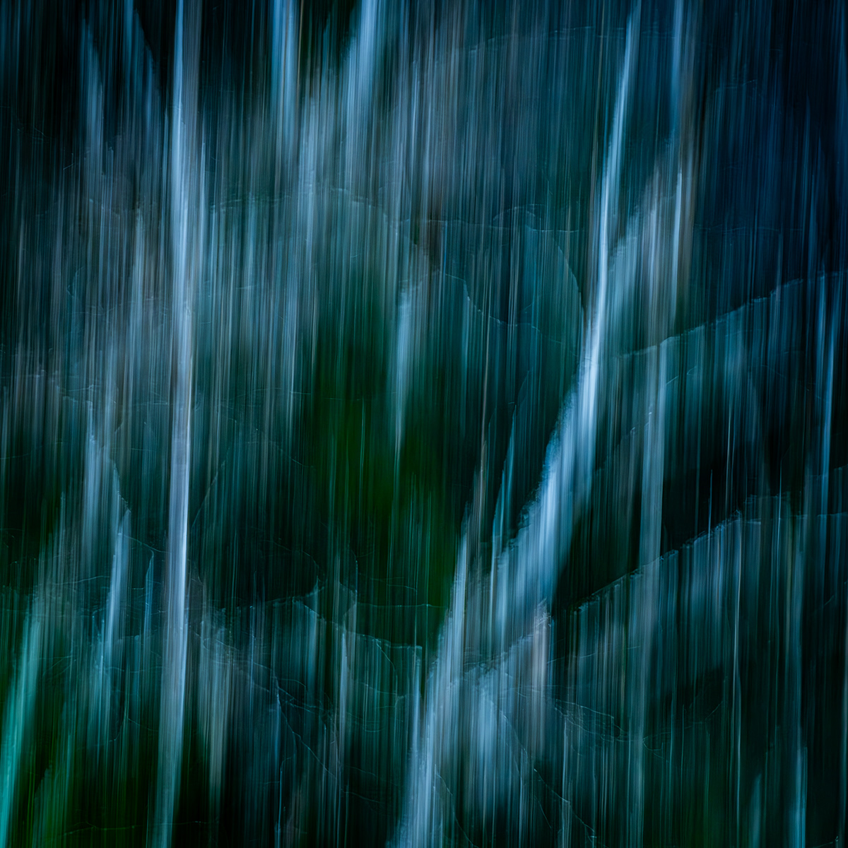 Nature Photography  trees winter ICM abstract