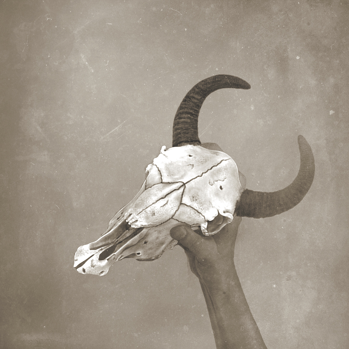 skull hand texture monochrome Digital Art 