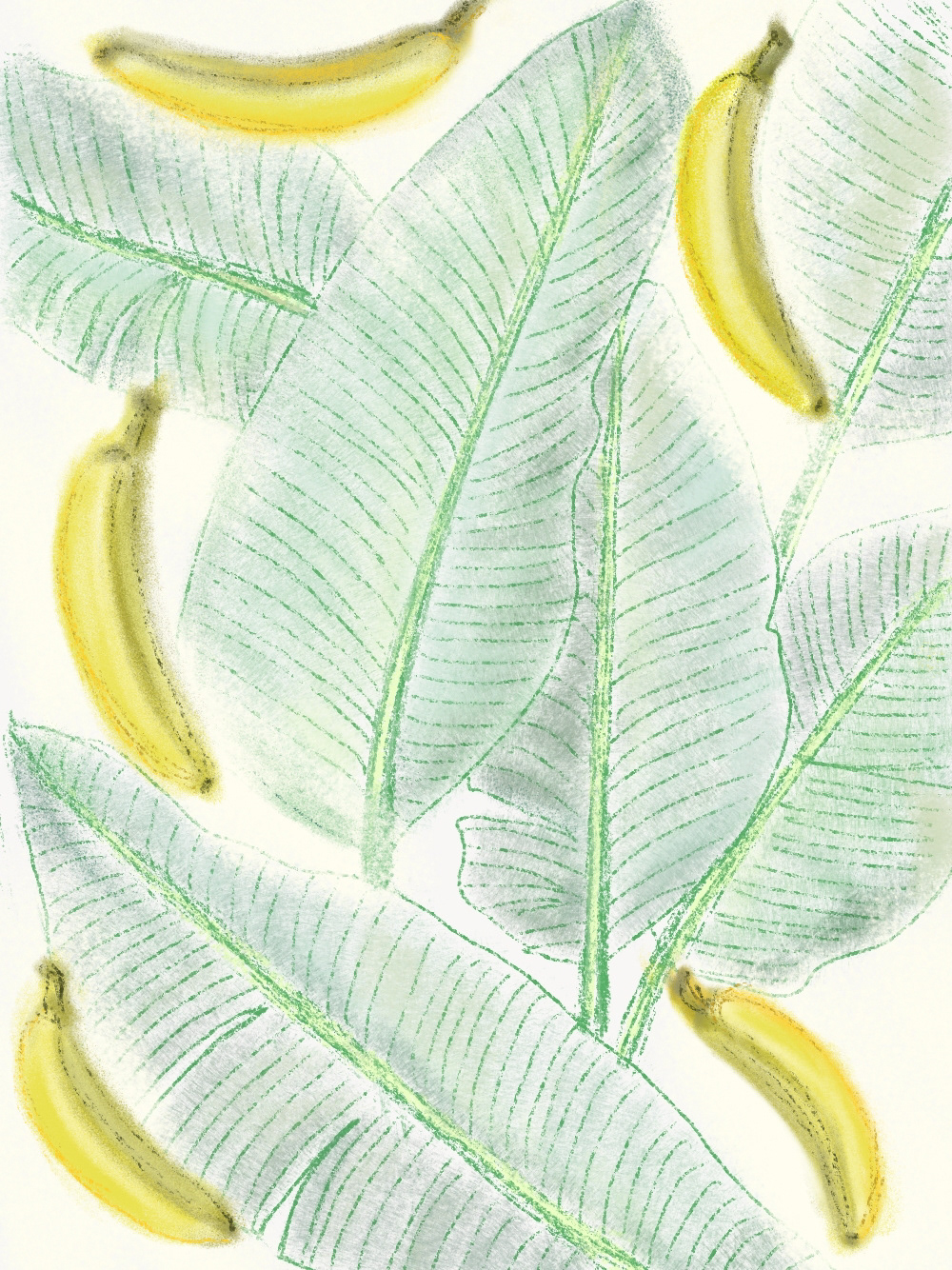 иллюстрация бананы Листья