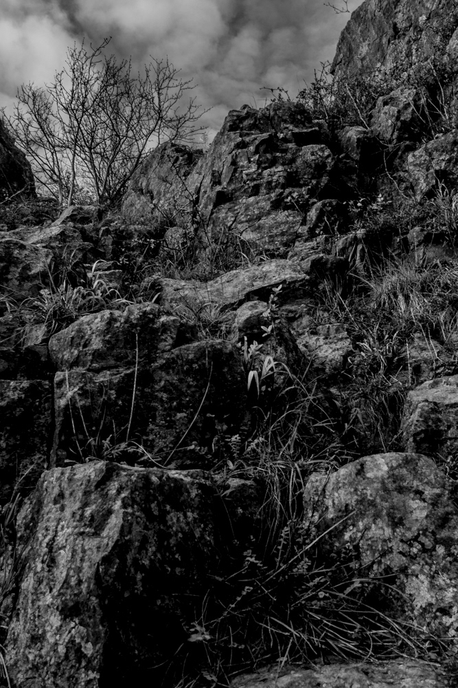 cheddar gorge somerset cheddar rocks cliffs Landscape Nature views goats black and white edit adobe lightroom adobe