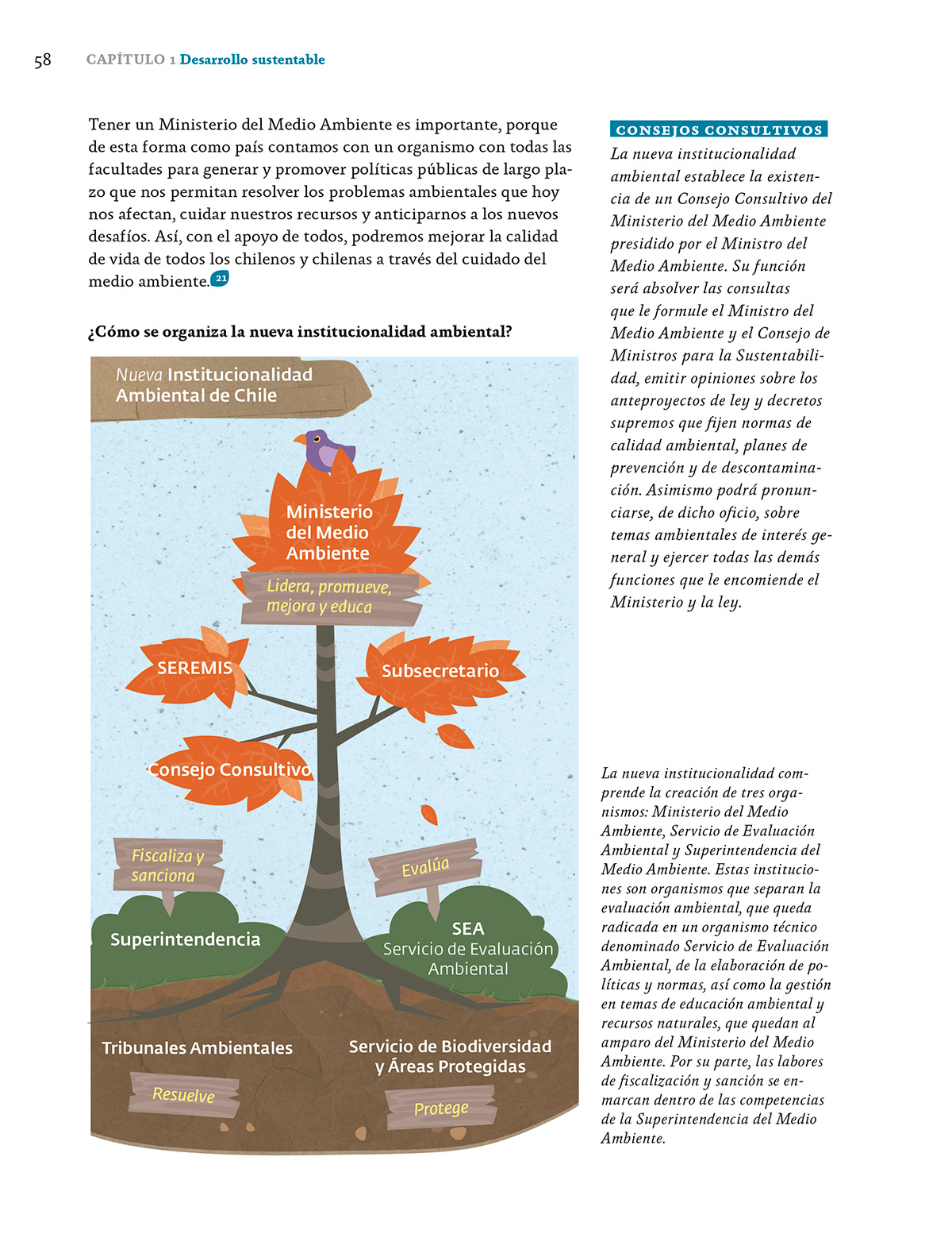 Daniela Hanna infografia sustentabilidad ocholibros ecologia diseño illustracion