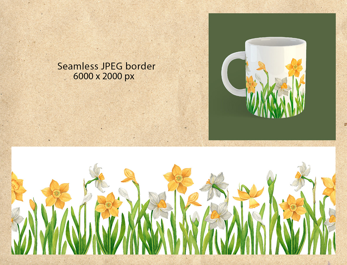 watercolor illustration daffodils spring flowers hand drawn sketch artwork artist gardening plants narcissus