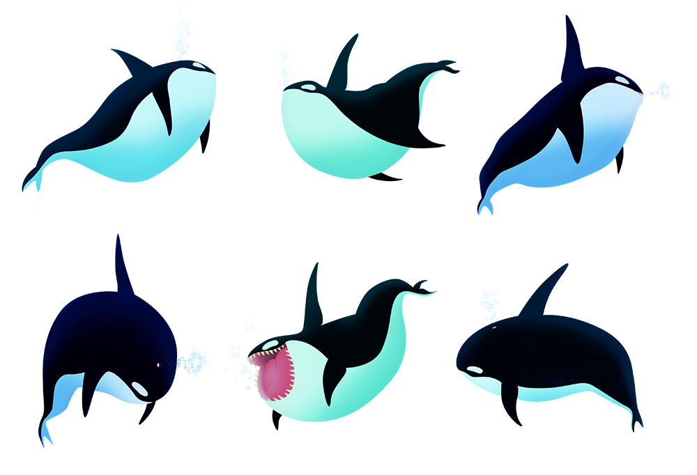 orcas animals Ocean Character design  sketches mamals orca character concept ILLUSTRATION  Drawing 