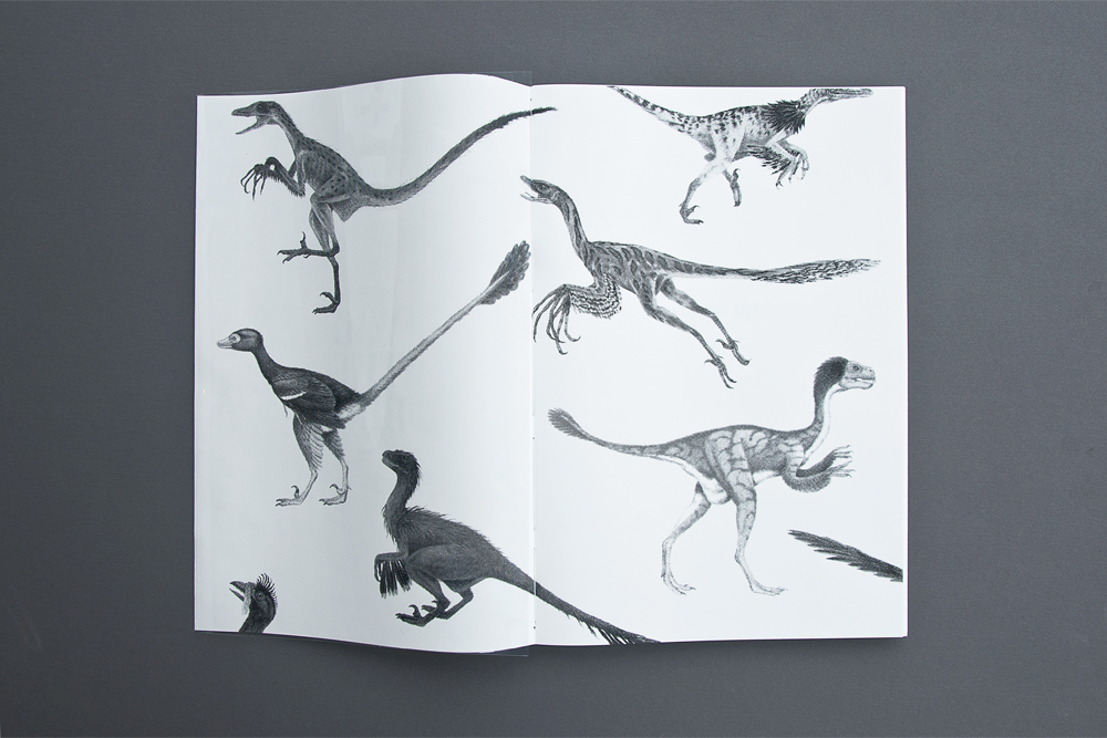 Wag the bird Hans Larsson chickenosaurus sérigraphie screen printing bird reptile Dinosaur