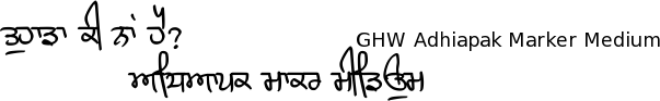 gurmukhi punjabi unicode font Tee-shirt Bollywood book book cover art free download