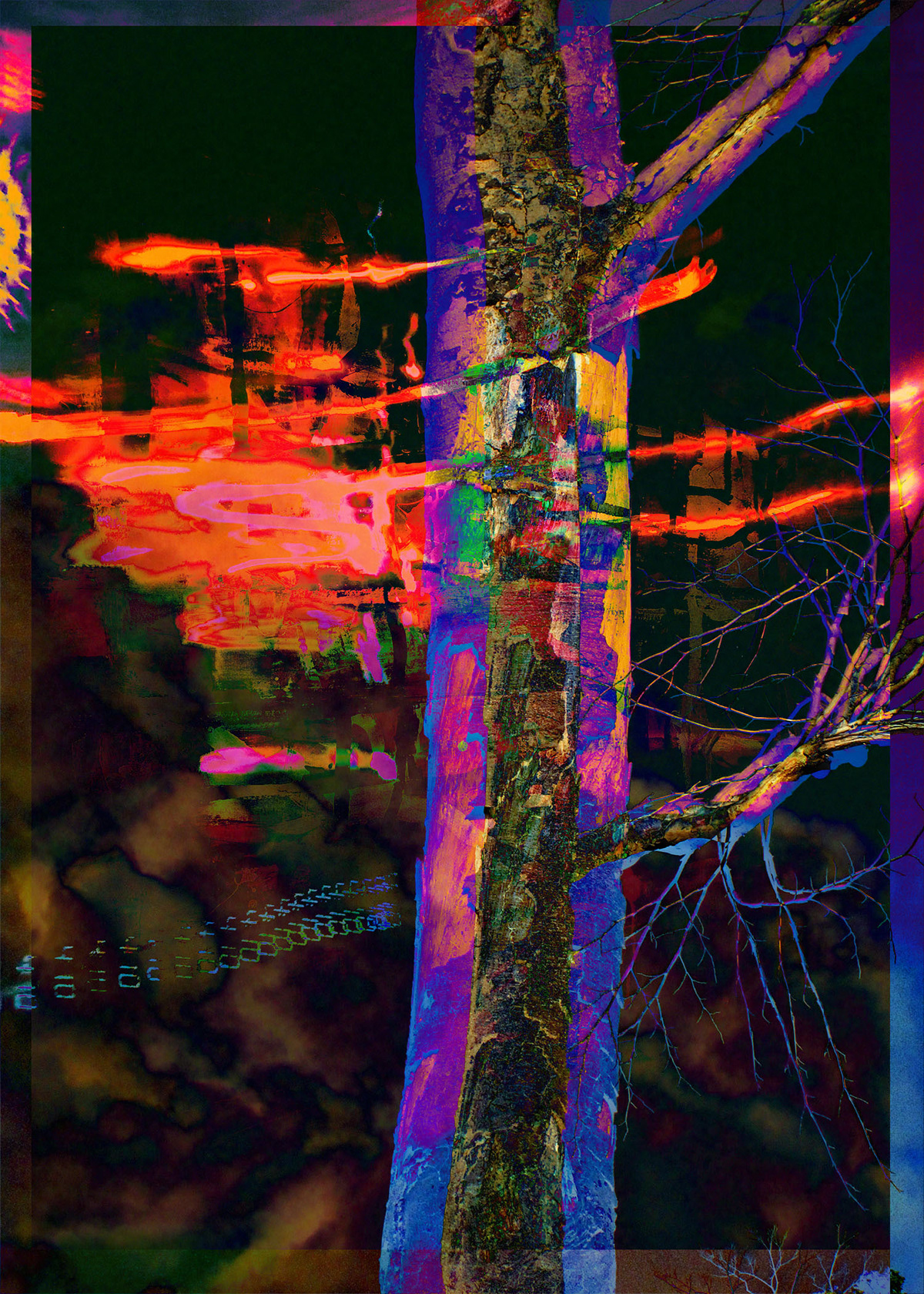 birch tree abstract mixed media color vibrant Dan Vainavicz