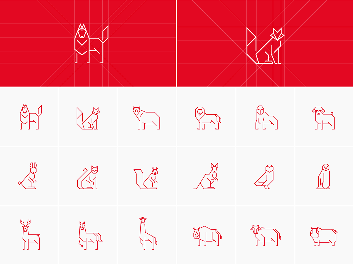 huskyfox brand identity design animal Icon CI BI branding  Stationery graphic