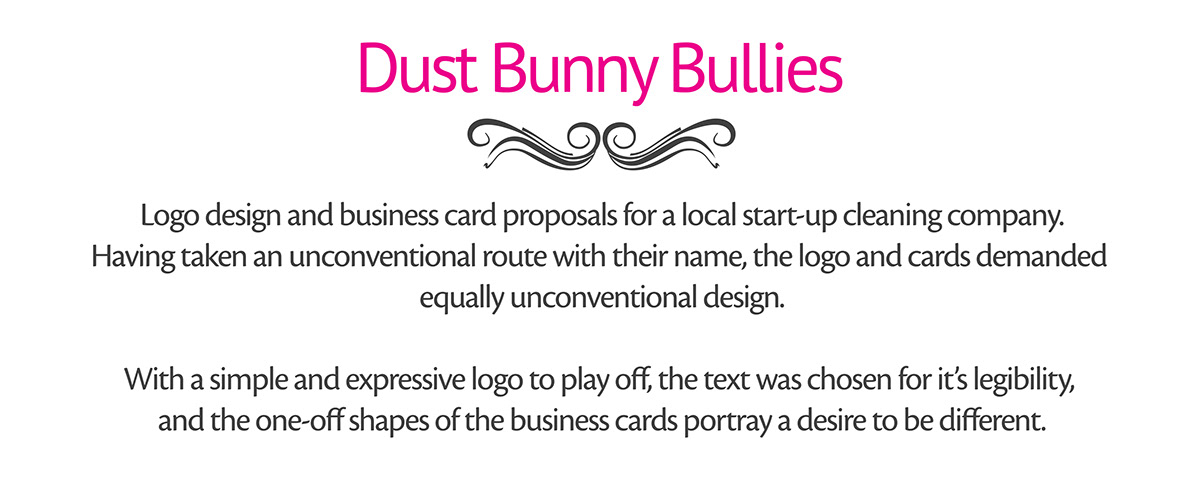 dust bunny bullies cleaning squared business cards