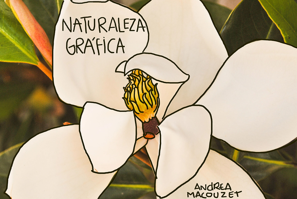 photo Nature graphic Flowers digital
