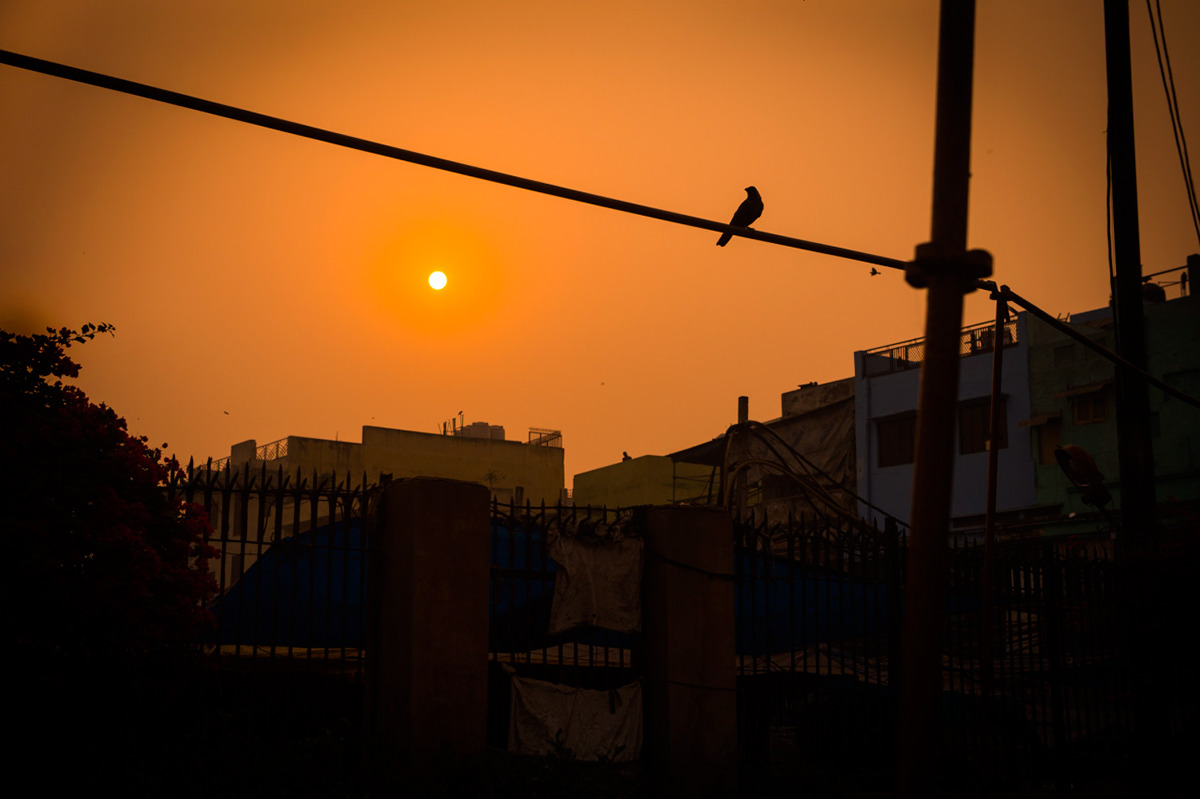 India dehli Travel street photography adventure Life Style Leica explore