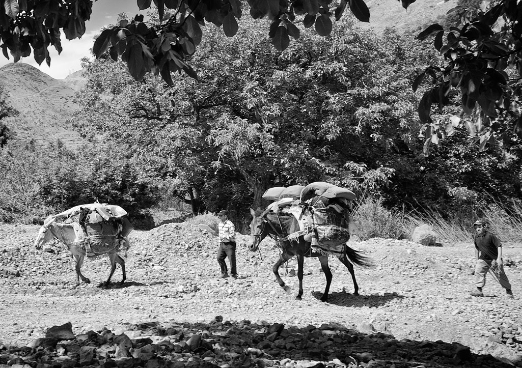 Berber Berbers village mountains Morocco black and white
