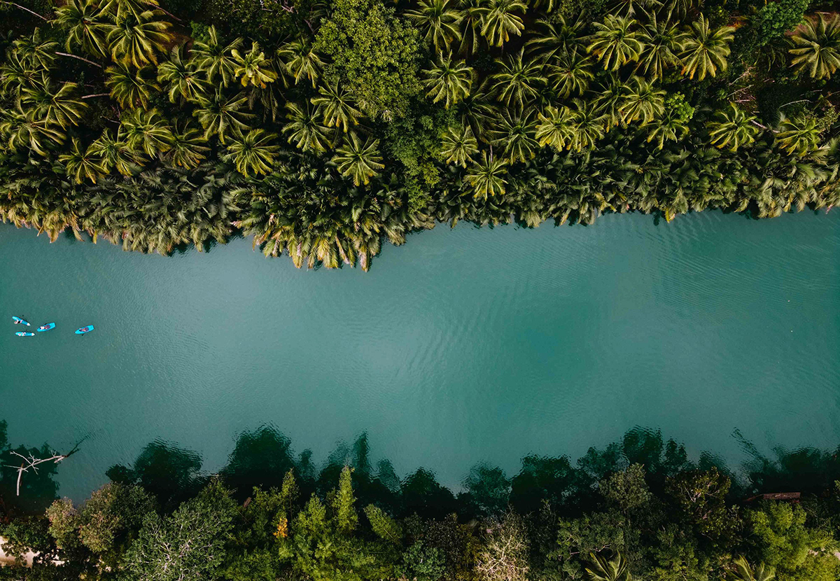 Aerial view of the Loboc River in the Philippines