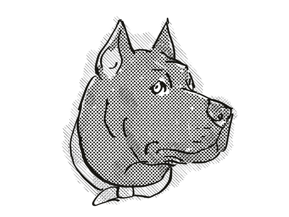 Cane Corso Dog Breed Cartoon Retro Drawing on Behance
