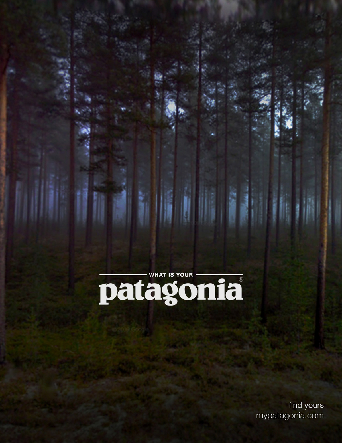 patagonia Direct mail Micro-site campaign Collaboration
