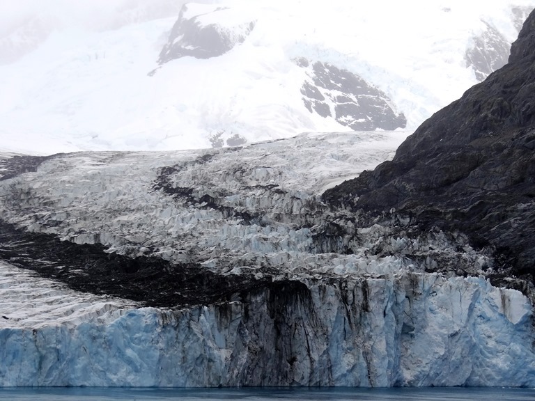 penguins iceberg antarctica Photography  polar