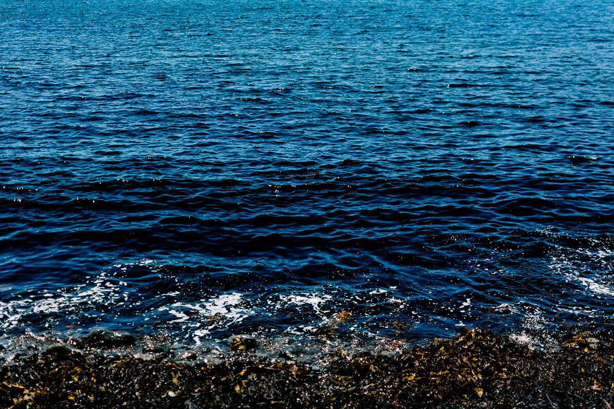 water sea dark edge deep rocks seaweed waves ripple horizon depth