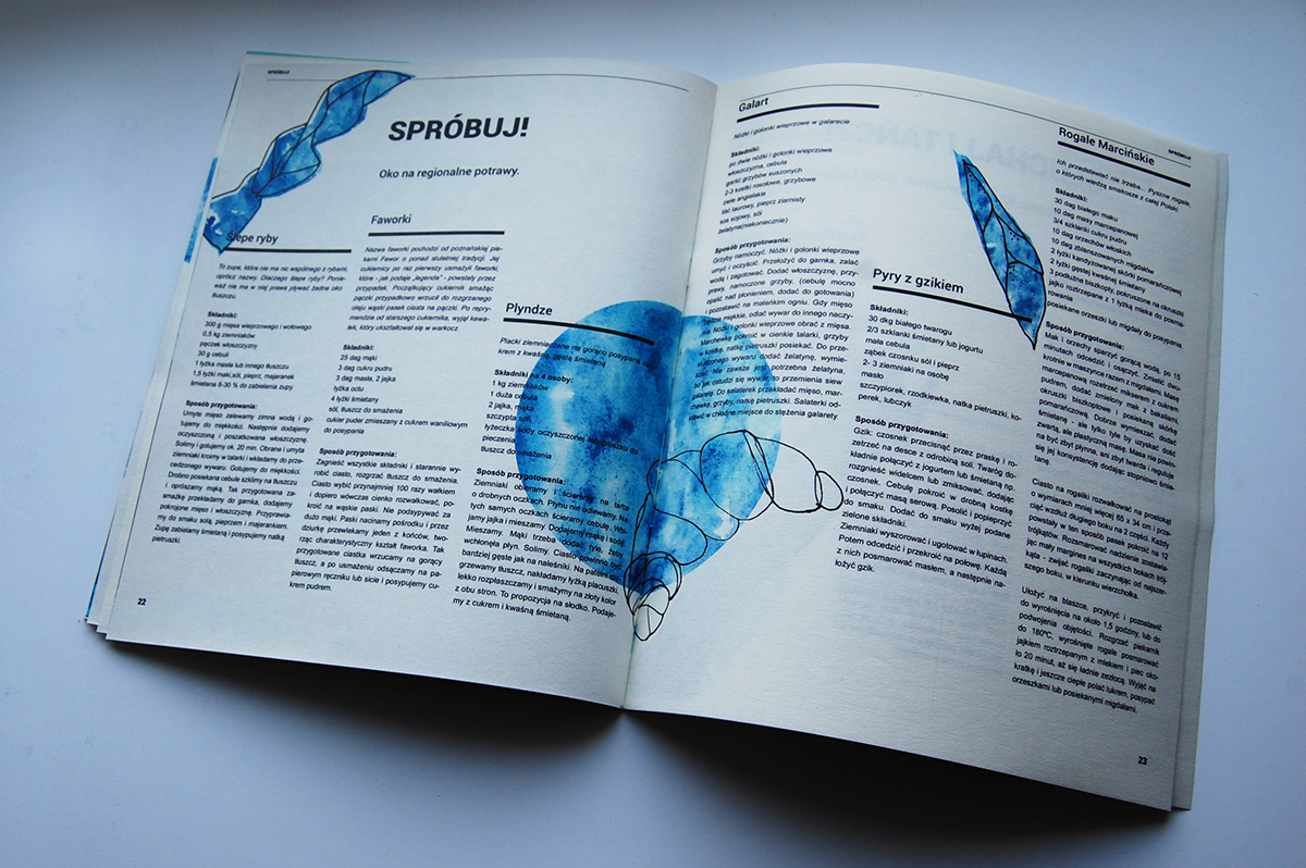 editorial Guide book przewodnik poznan city poland typografia druk print