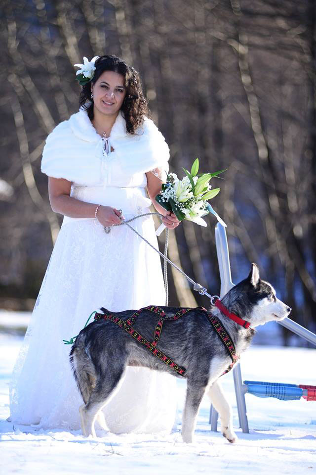 wedding winter dogs