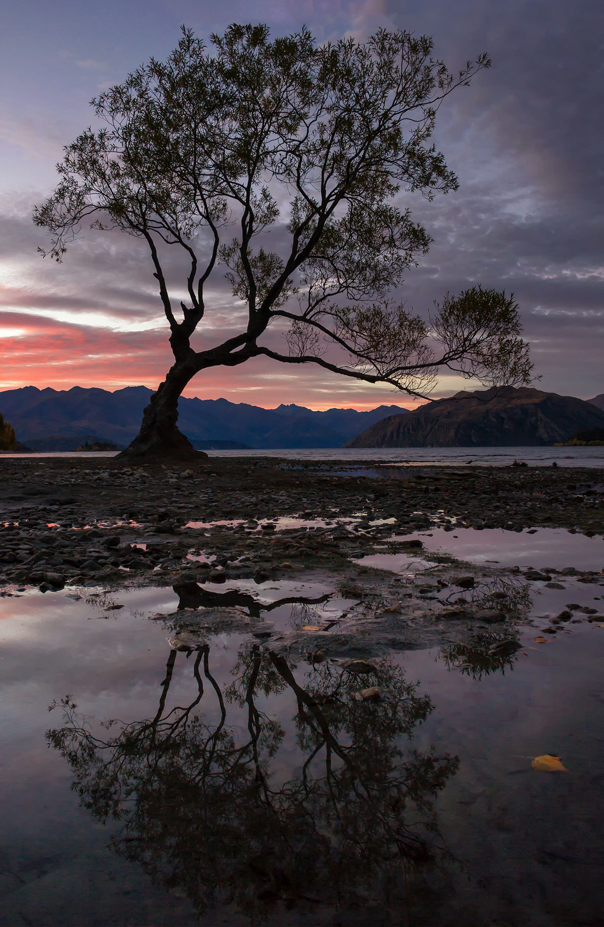 New Zealand Travel Sunrise sunset sea rocks river water long exposure light beach sand Sun trees reflection