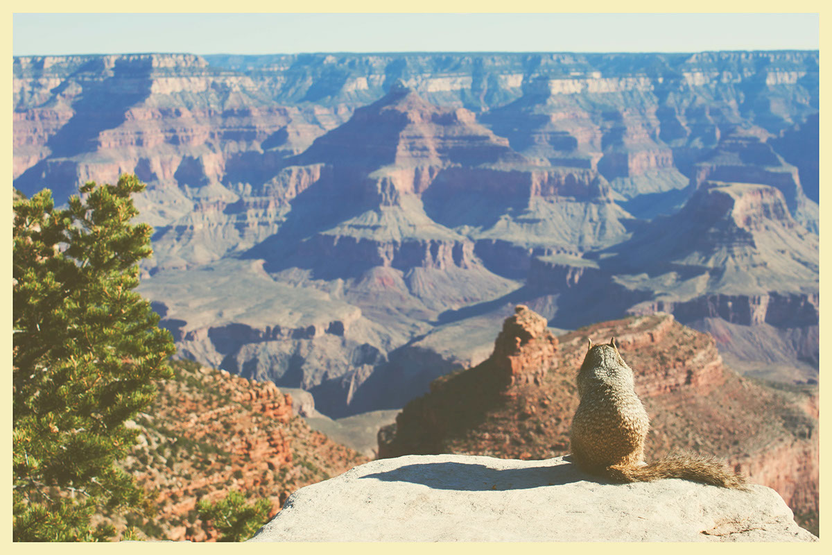 instagram Grand Canyon filter