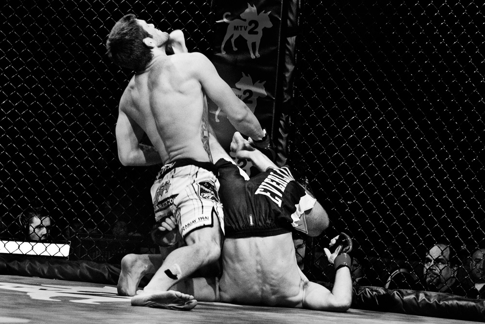 MMA fighting fight bellator BFC cage punch kick action sports