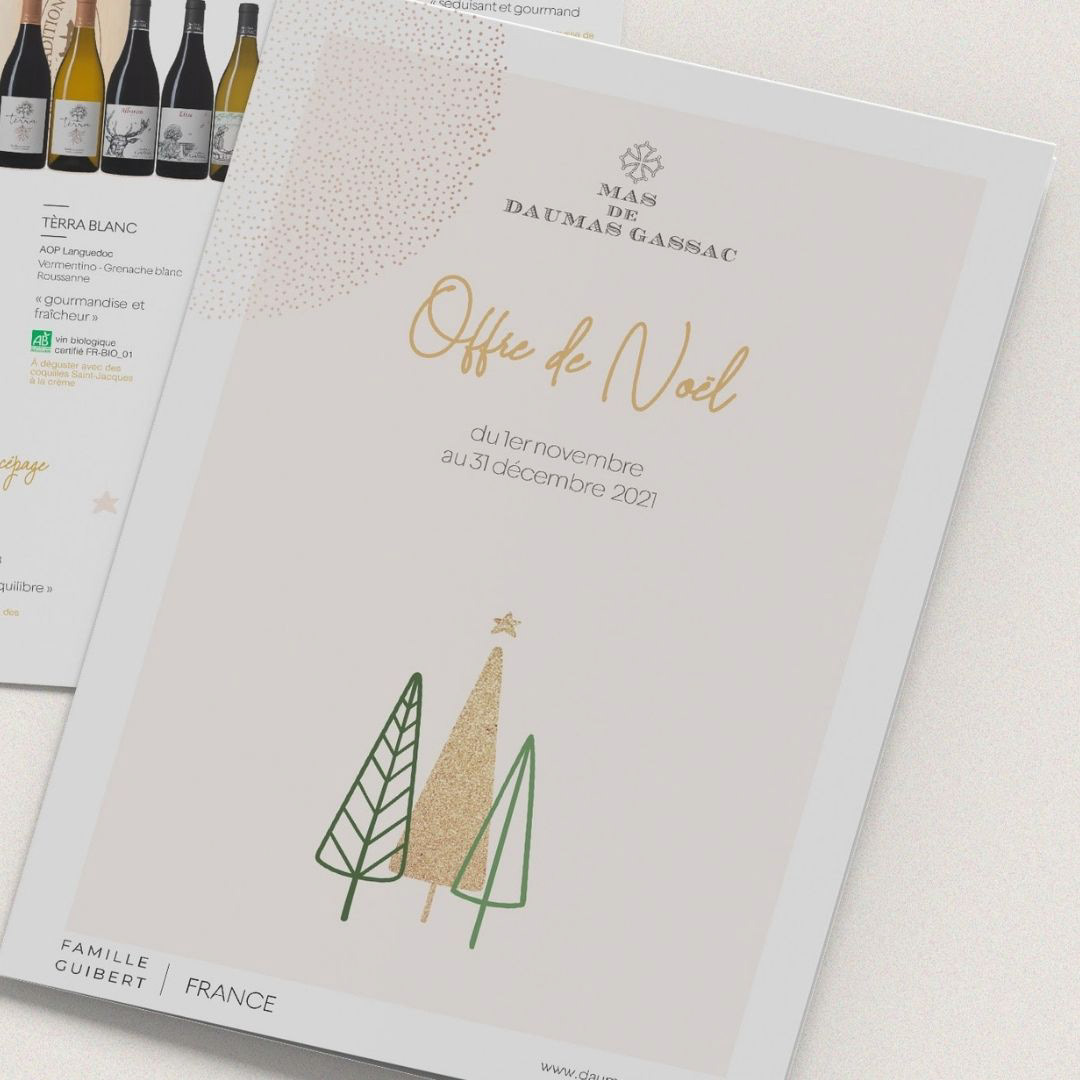 Advertising  brochure Christmas graphic design  print wine
