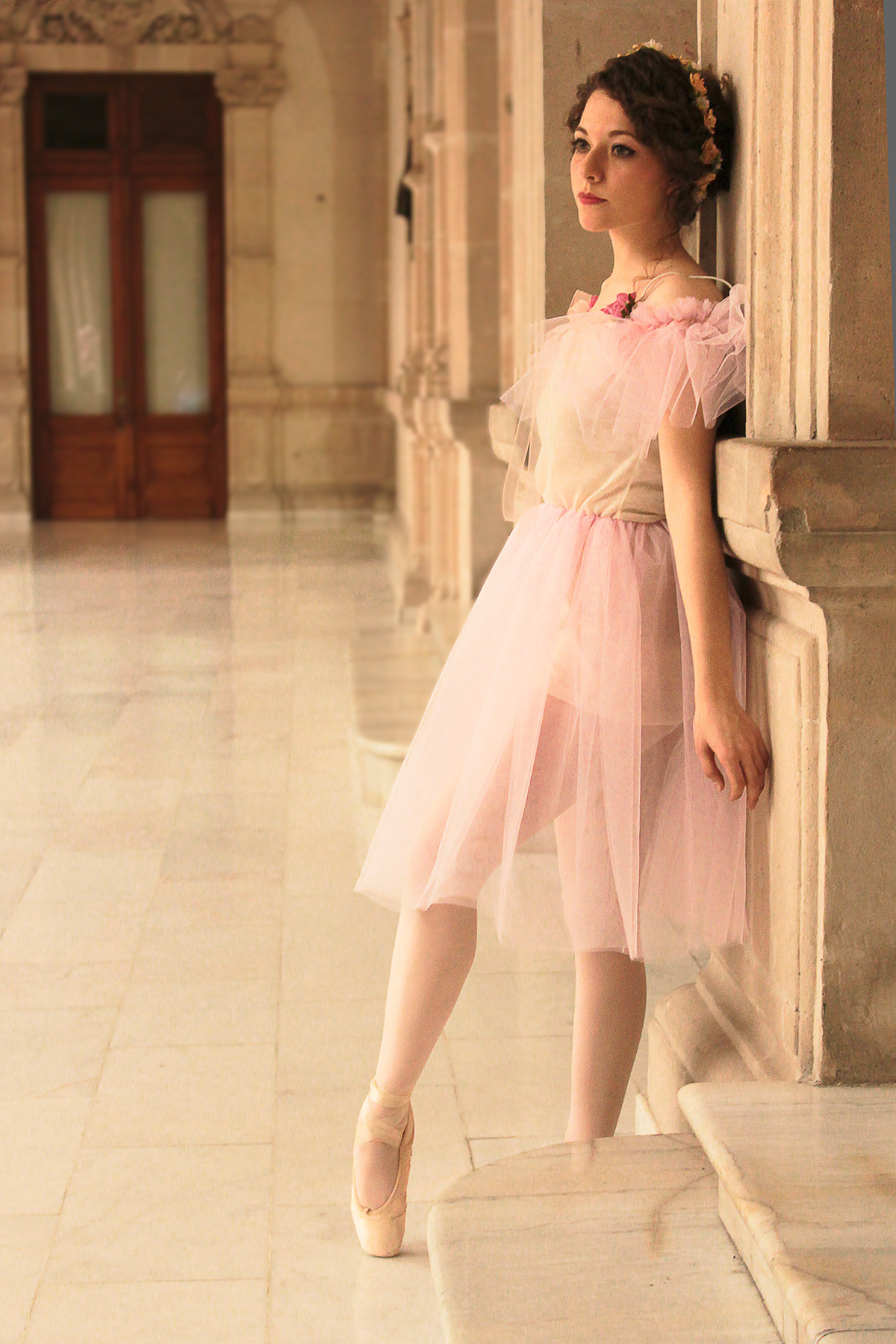 ballet ballet dancer tutu ballerina dress ballet dress cute ballerina ballet photoshoot chihuahua Arely Flores  palacio de gobierno