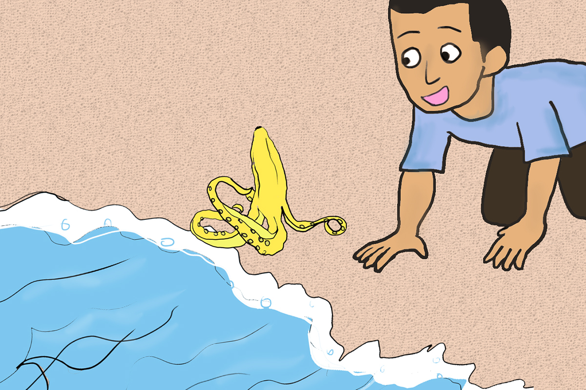 story storyboard Advertising  bananapeel octopus imagination