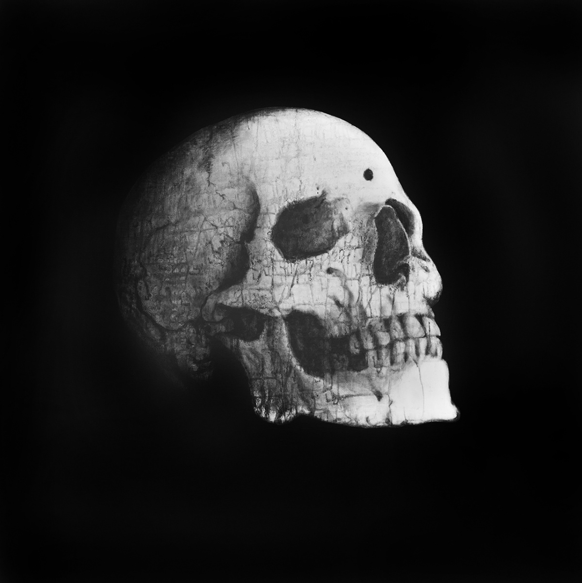 skull black and White artist Yong Chang Chung head