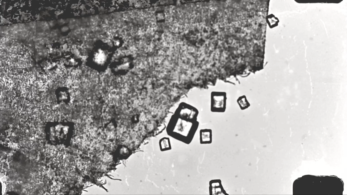 16mm film expose Dark room scratching sugar minotaur labyrinth myth fable craft sofia aronov csm