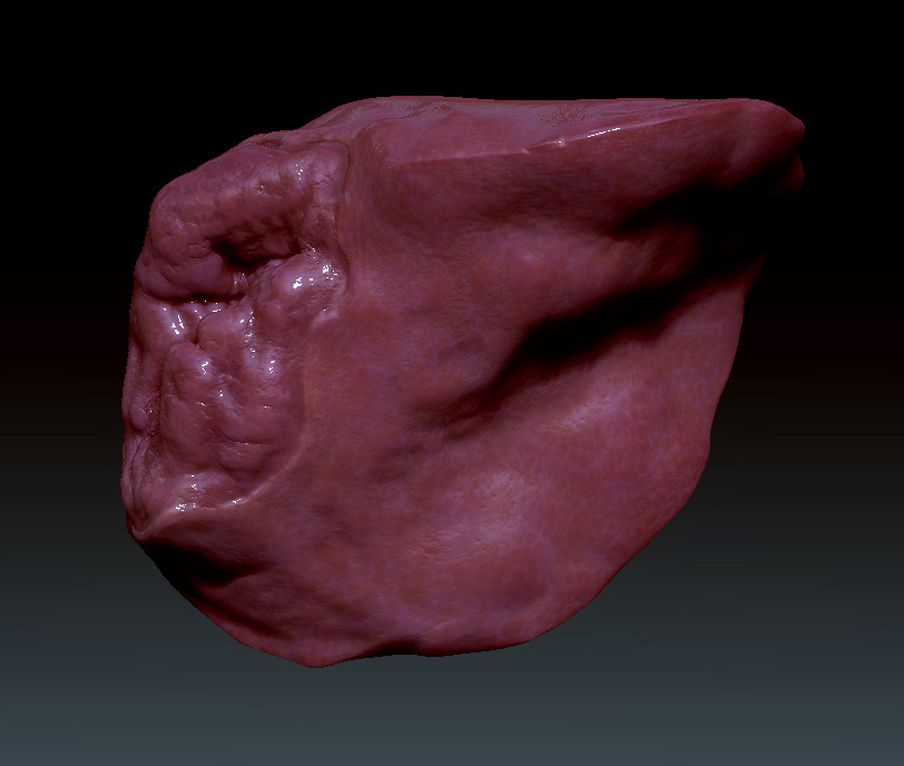 liver печень Medecine science