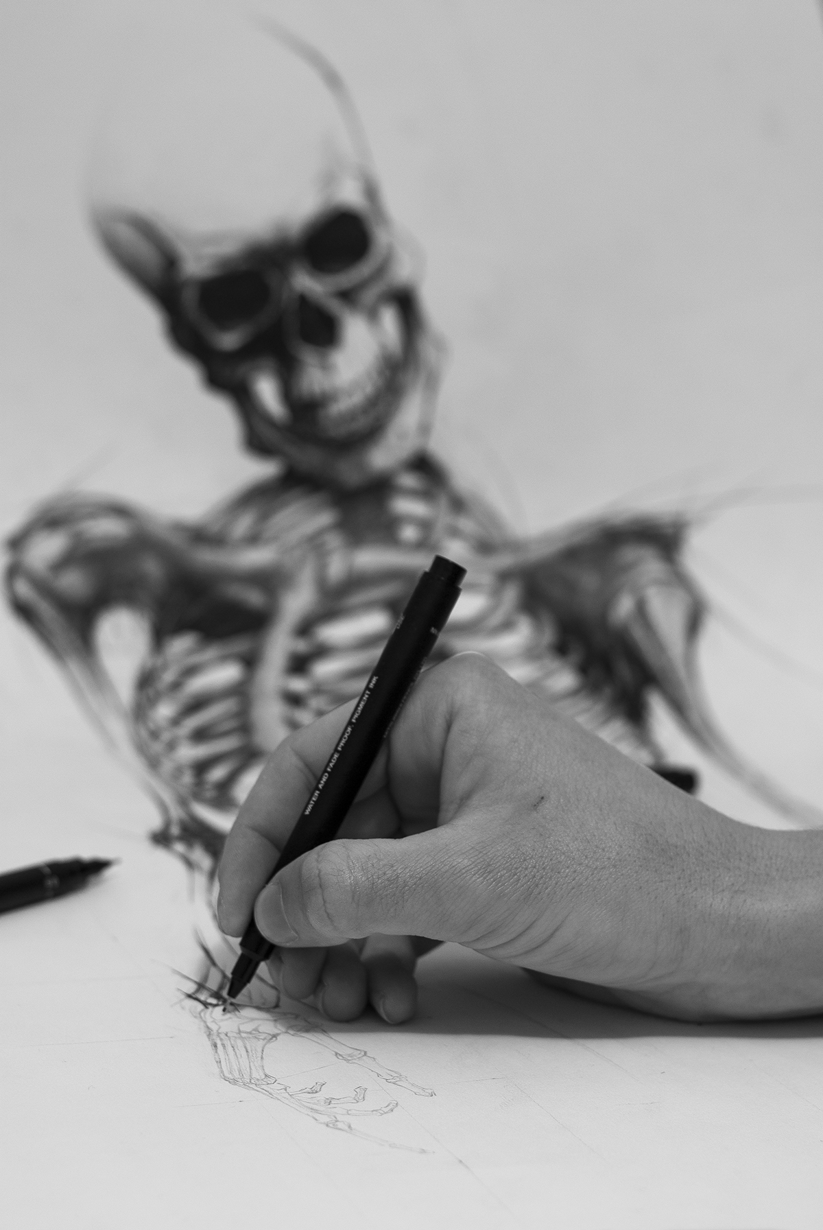 rapido çizim kemik bones fish bat human skeleton iskelet yarasa balık insan