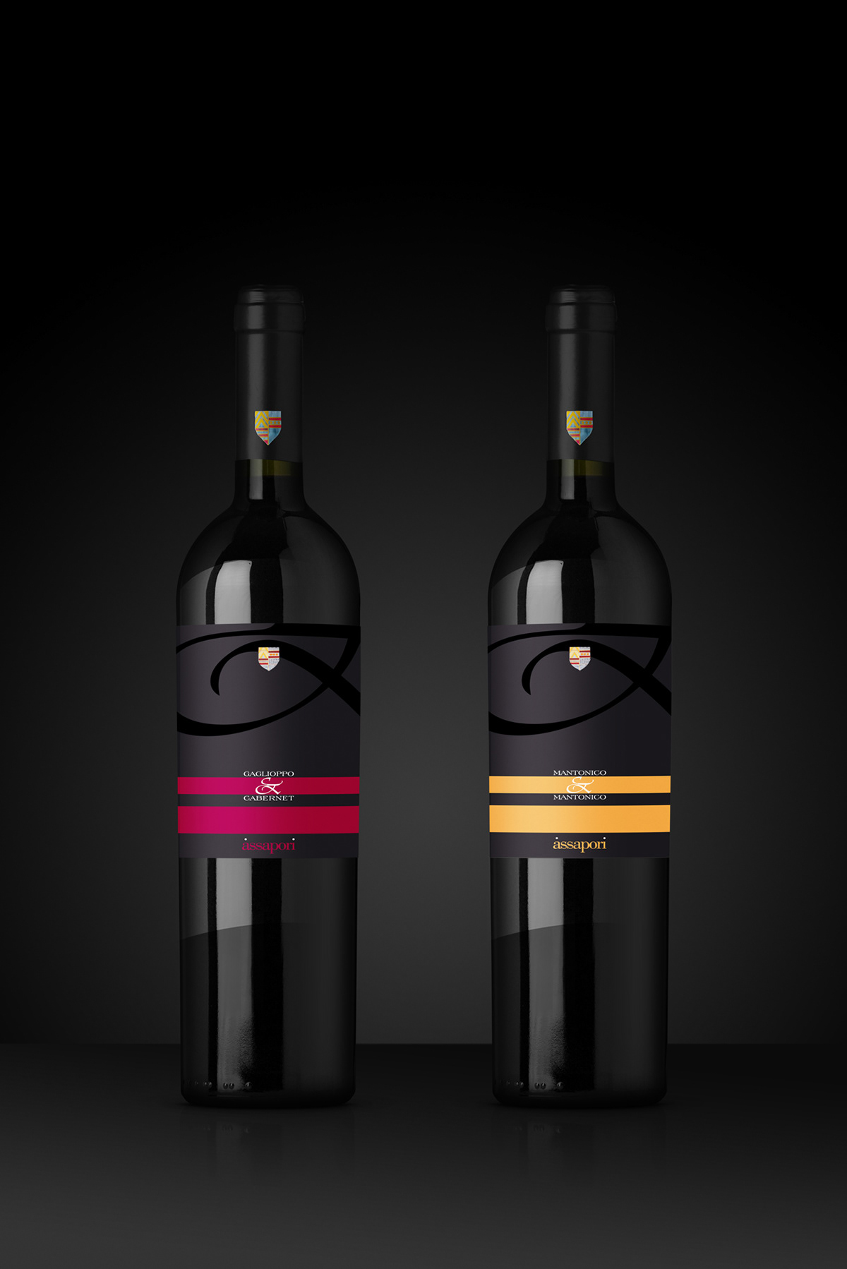Packaging Label Etichette italia Italy vino wine limited edition librandi
